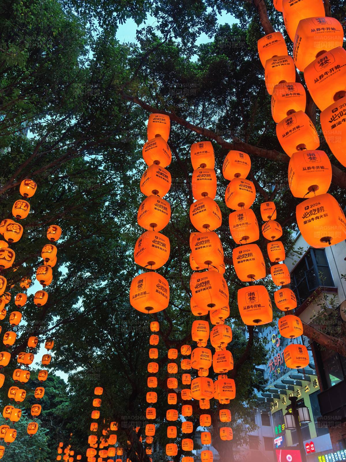 树下悬挂的橙色灯笼图片