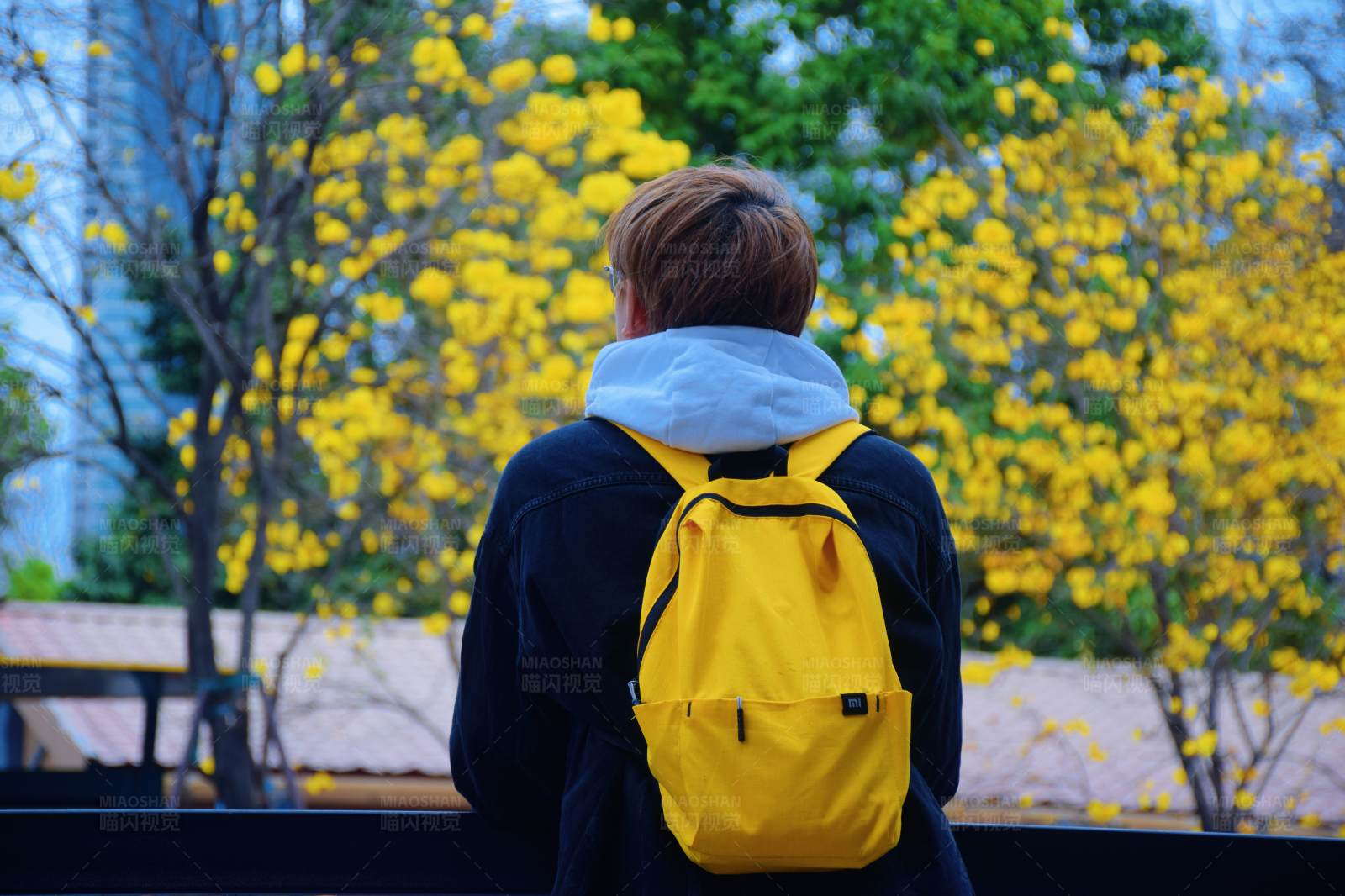 背黄色背包的人图片
