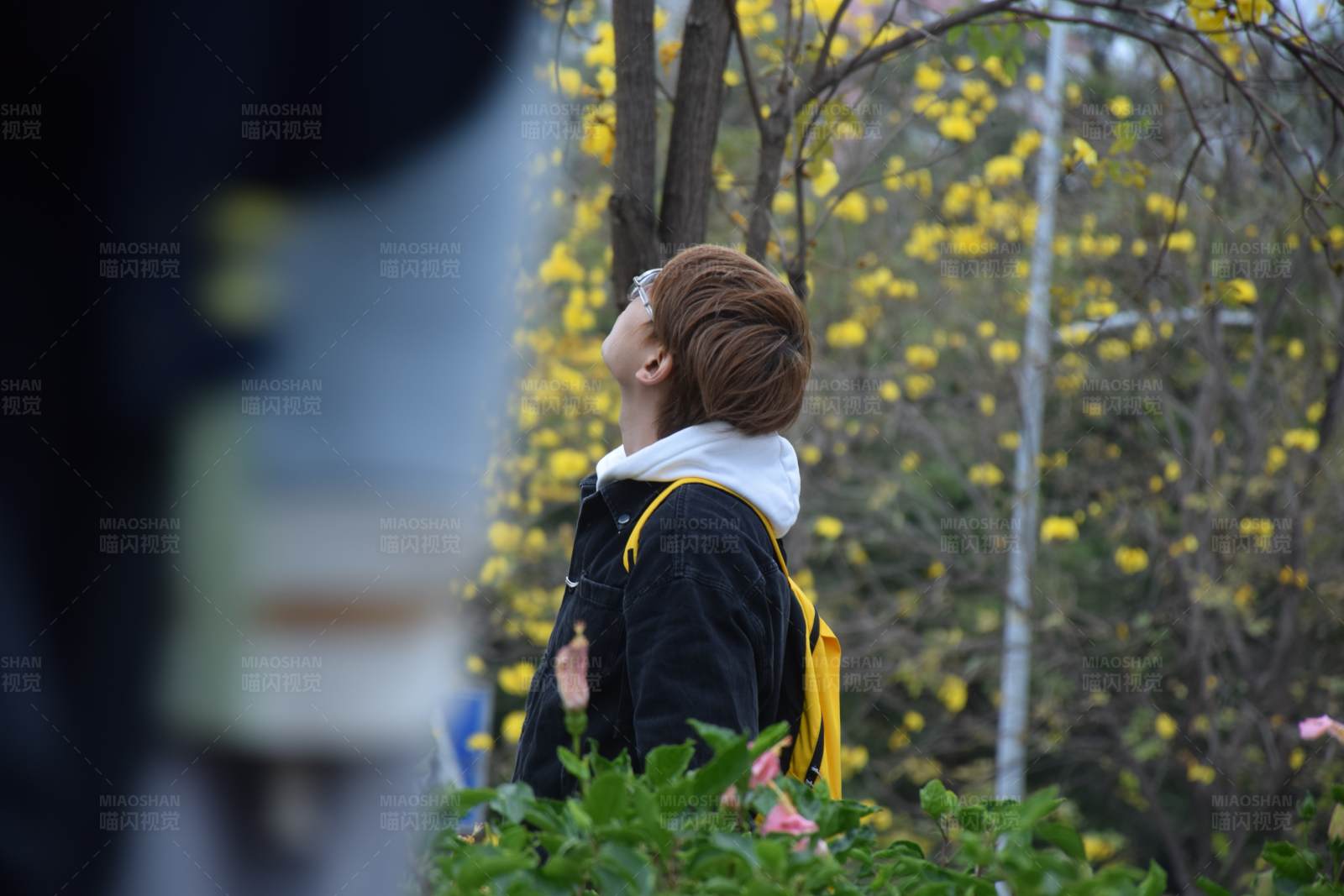 春日赏花人图片