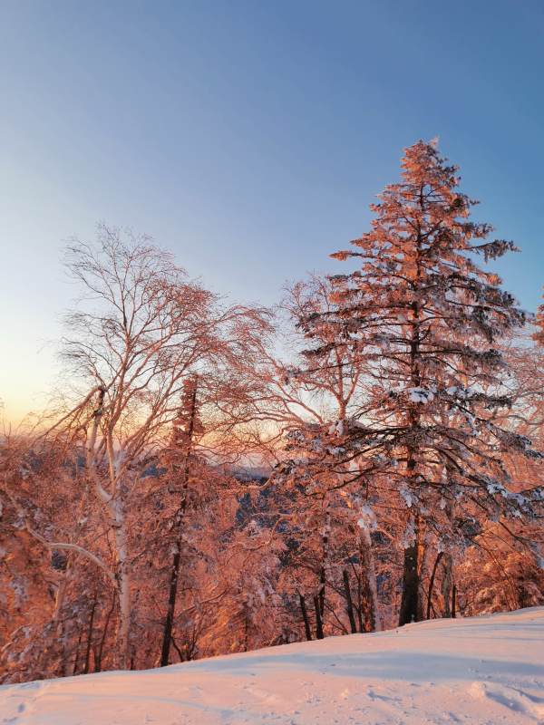 冬日夕阳下的雪景图片