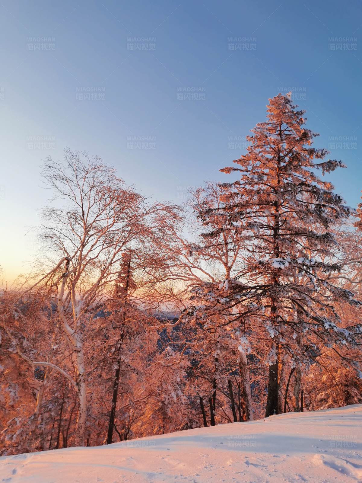冬日夕阳下的雪景图片