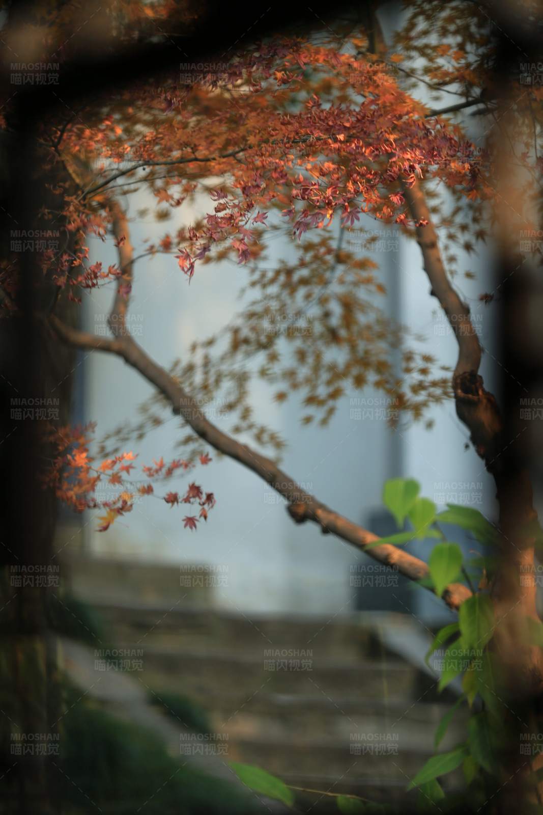 秋叶映古桥图片