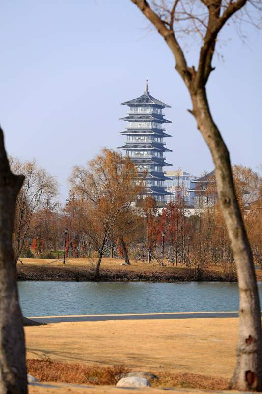 湖畔古塔秋景图图片