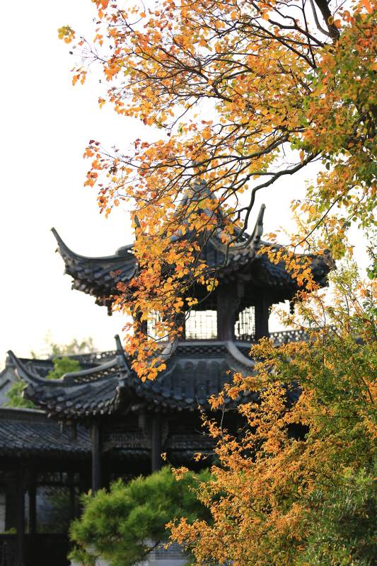 秋色中的古建筑图片