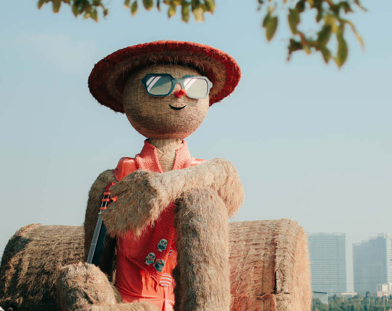 稻草人音乐家图片