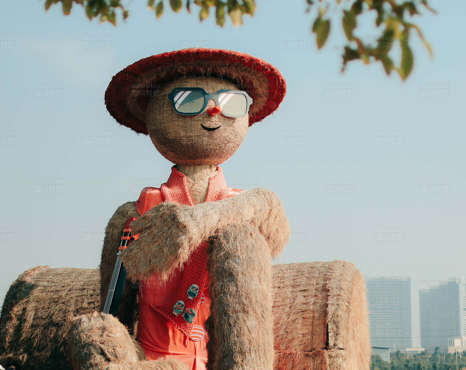 稻草人音乐家图片