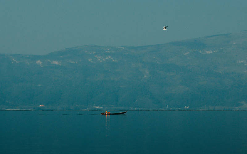 湖上孤舟 山间飞鸟图片