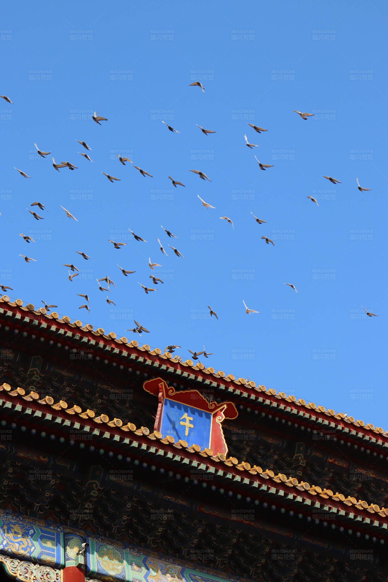 飞鸟与古建筑图片