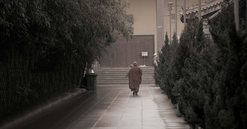 僧人独行图片
