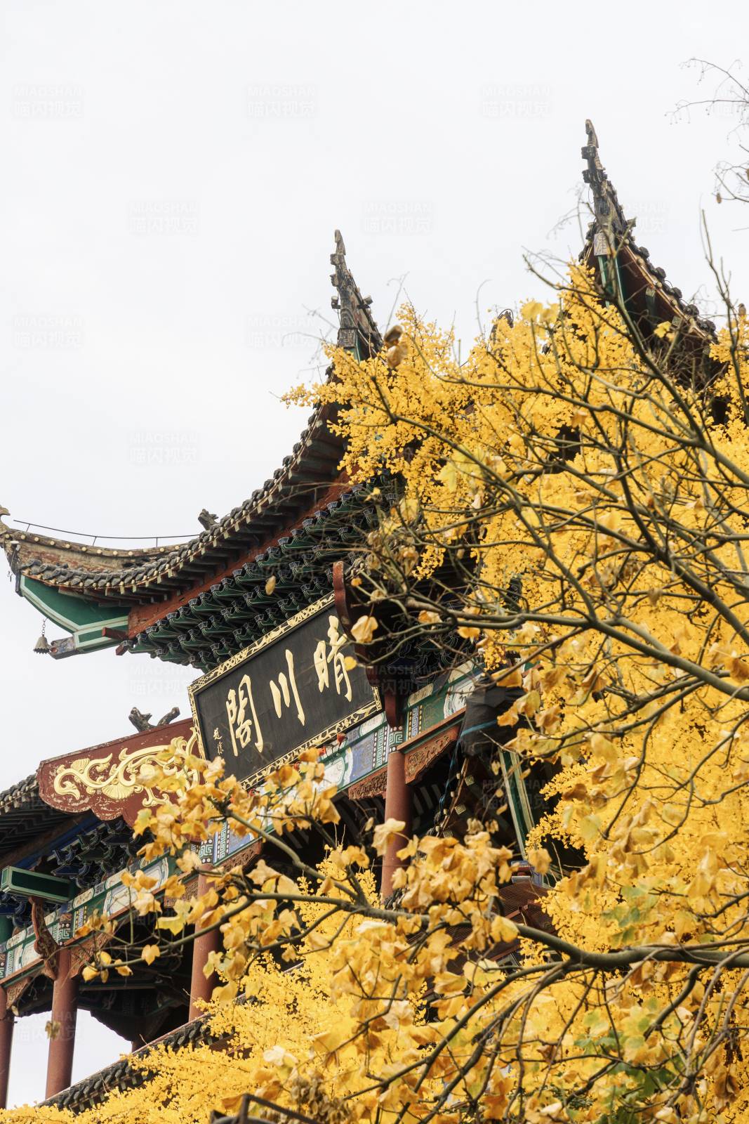 秋色中的古建筑图片