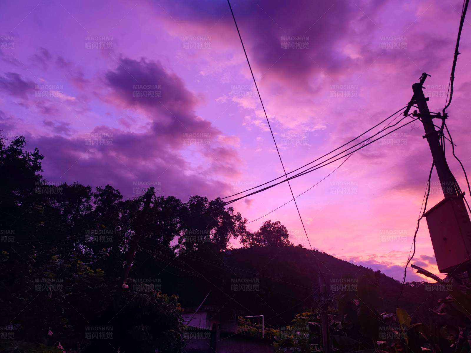 紫色夕阳下的电线杆图片