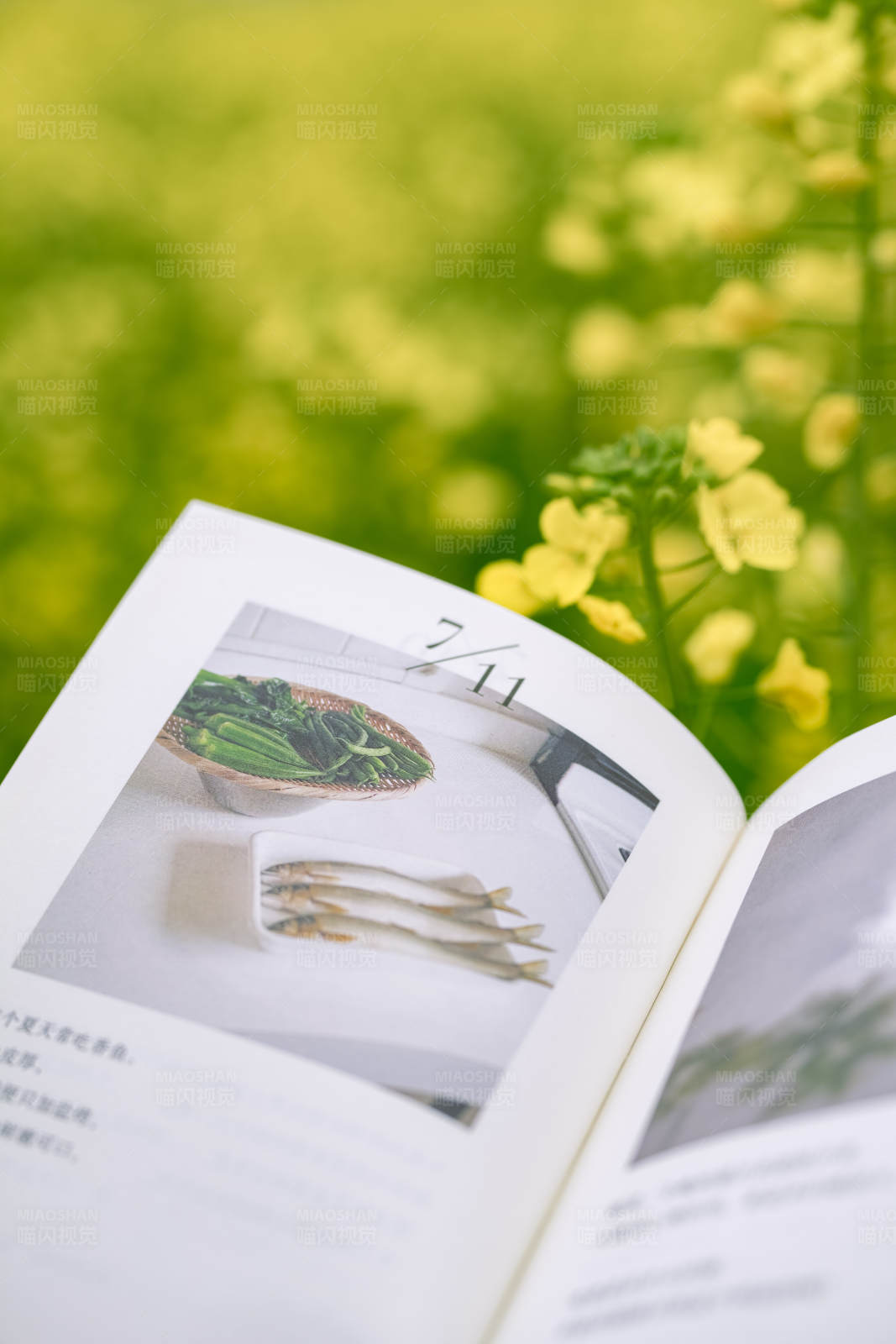 美食与自然的完美结合图片