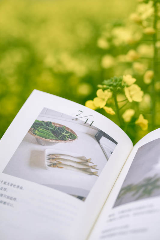 美食与自然的完美结合图片