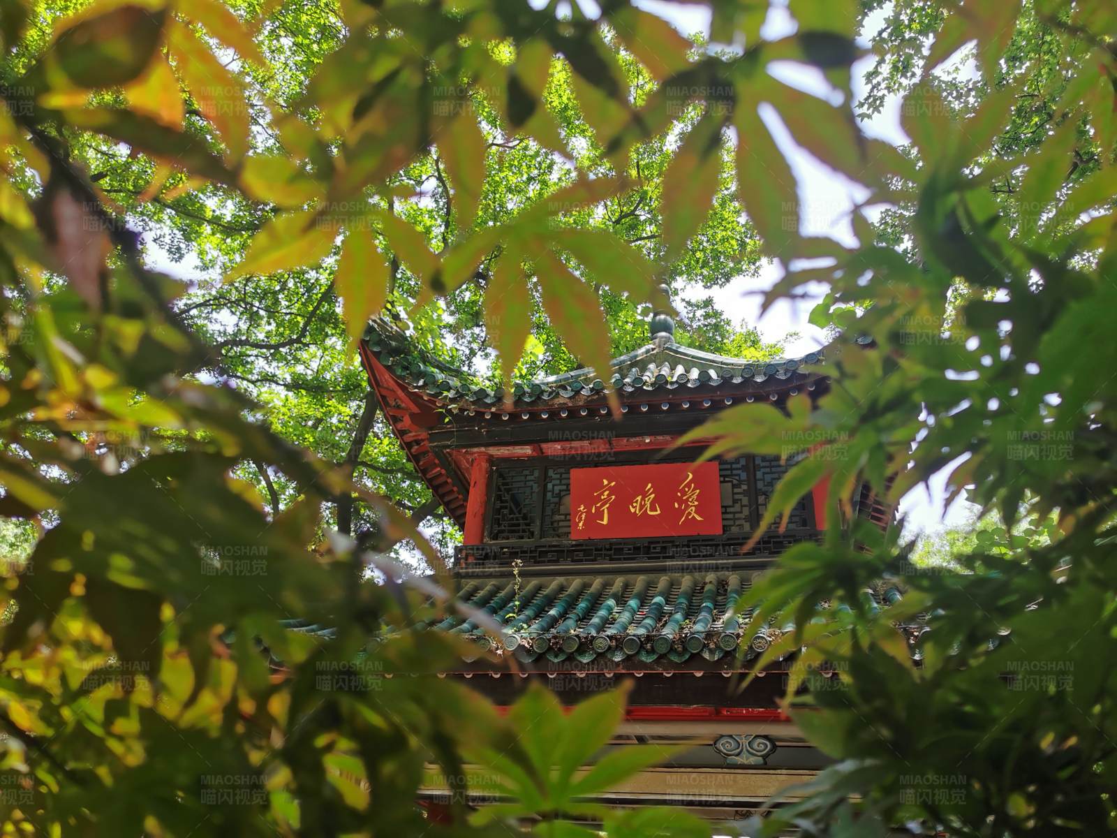 古刹红墙绿树间图片