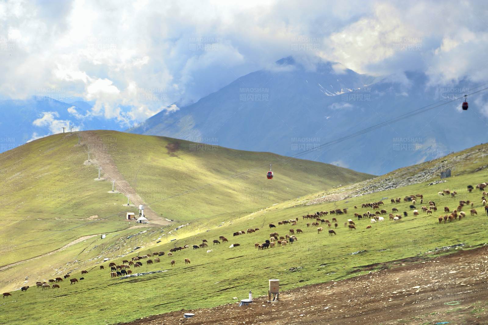 高山牧场与缆车图片