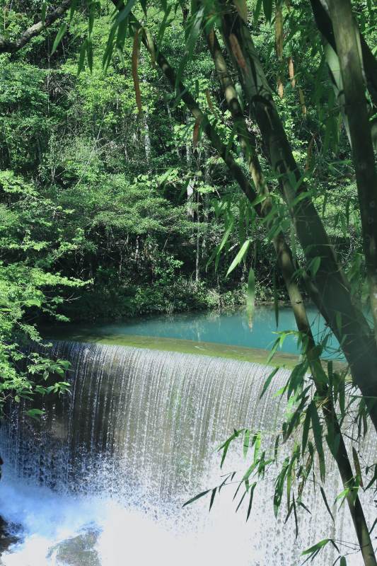 瀑布竹林图片