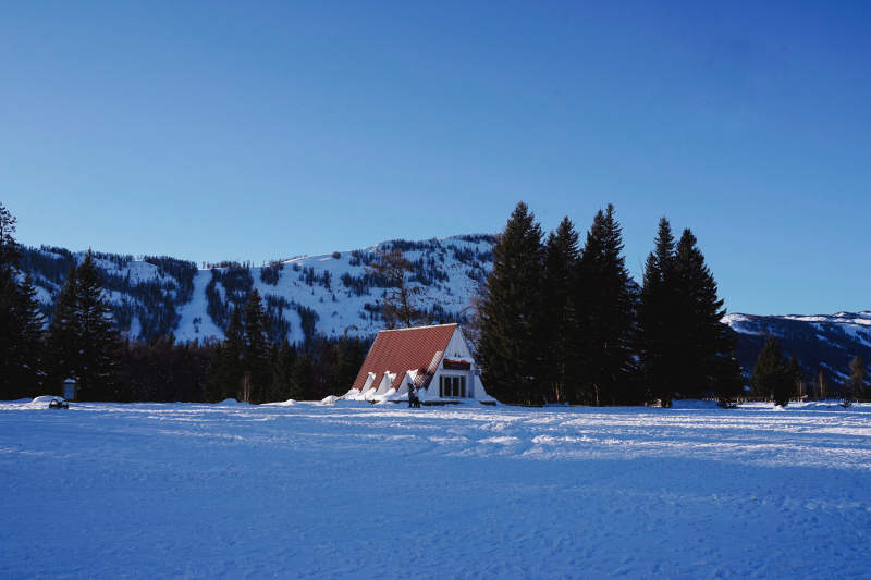 喀纳斯小木屋图片