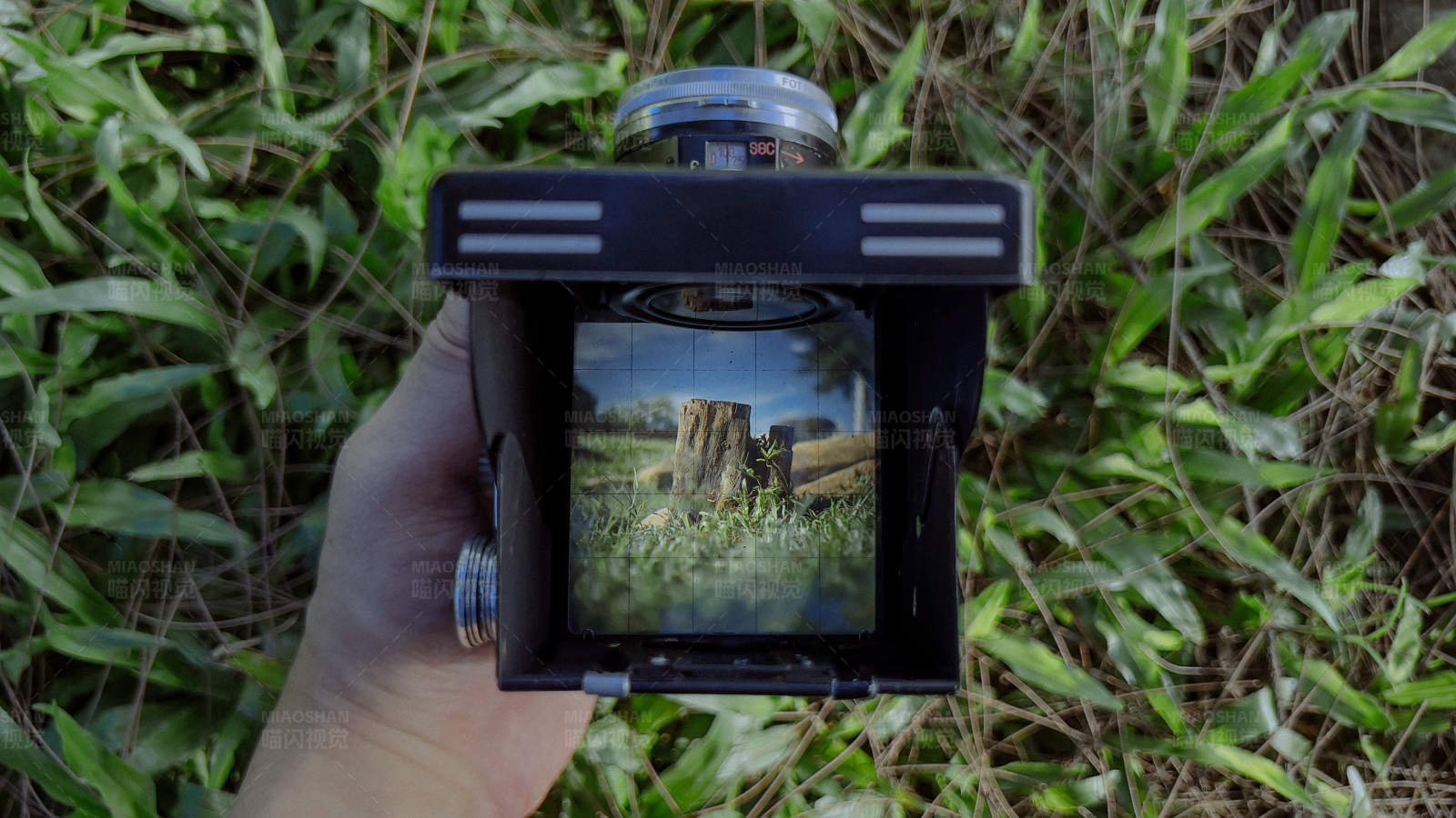 古董相机中的田园景色图片