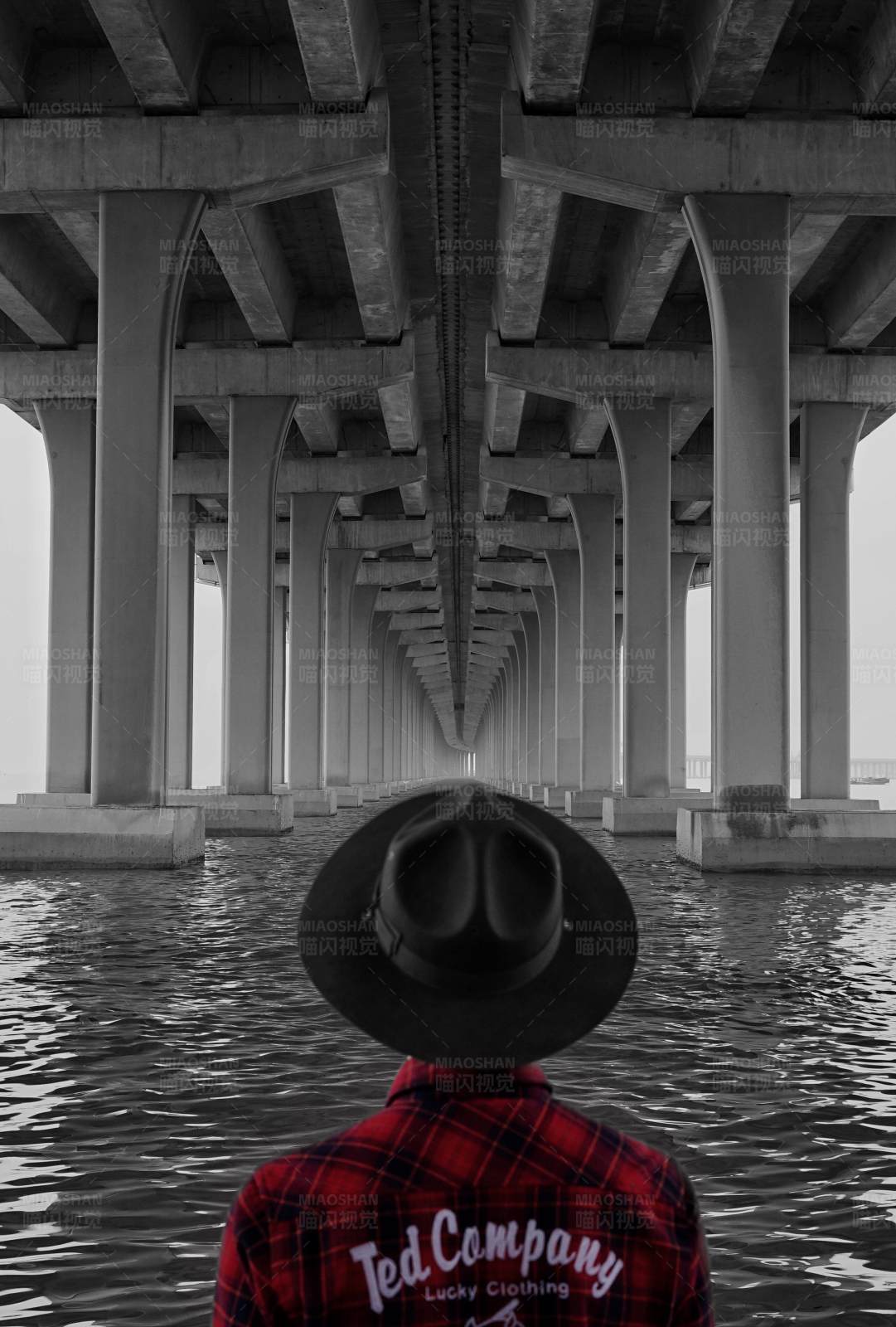 桥下独行者图片