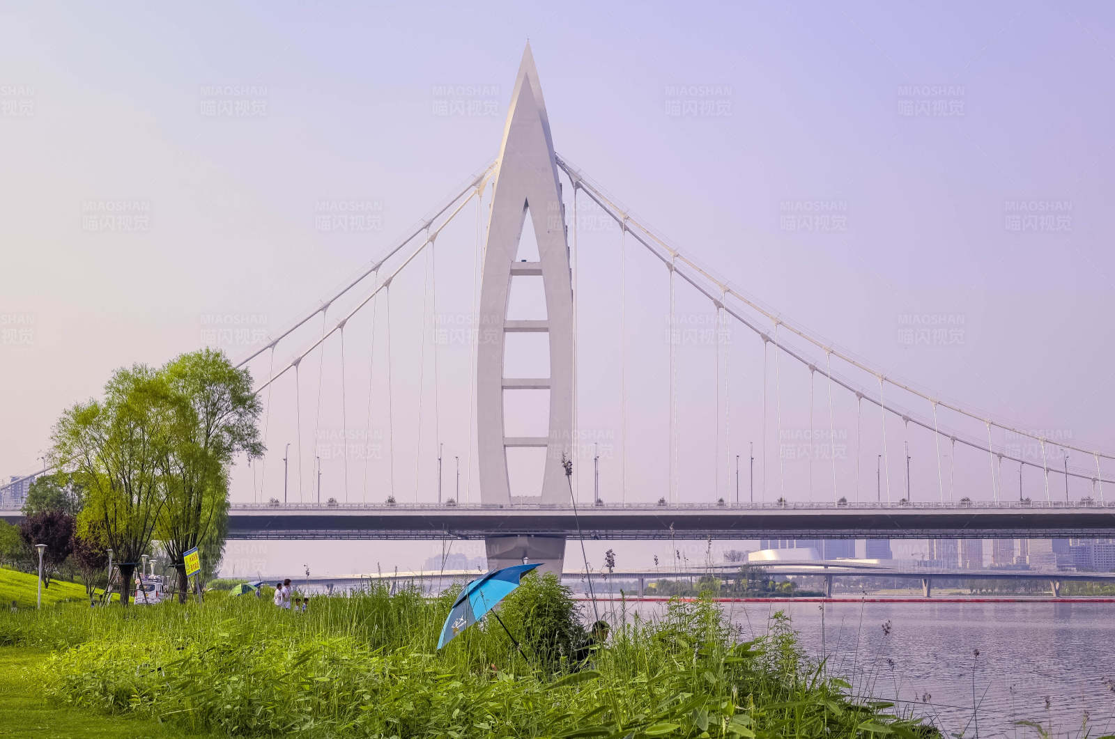 西安元硕大桥图片