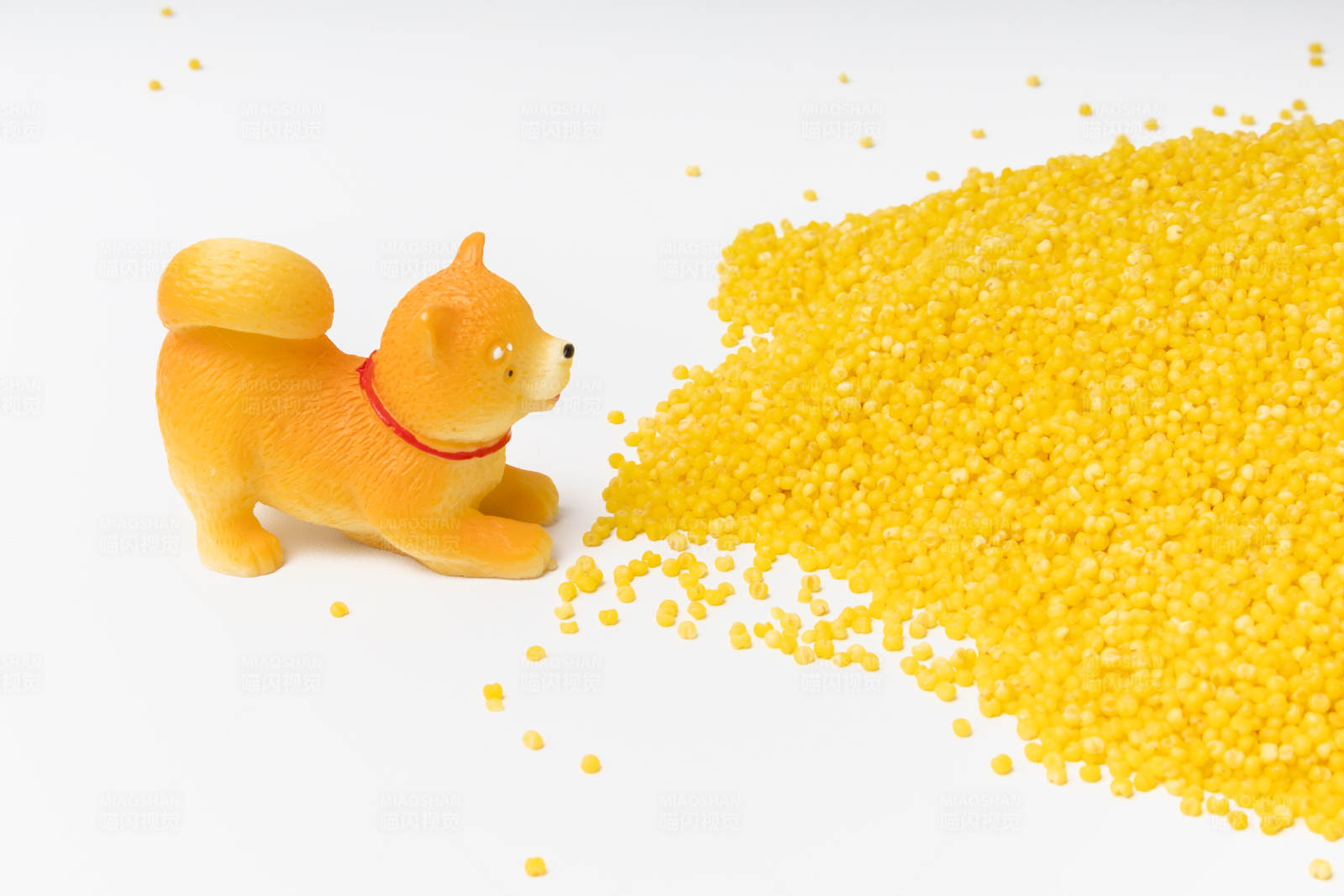 小狗与小米图片