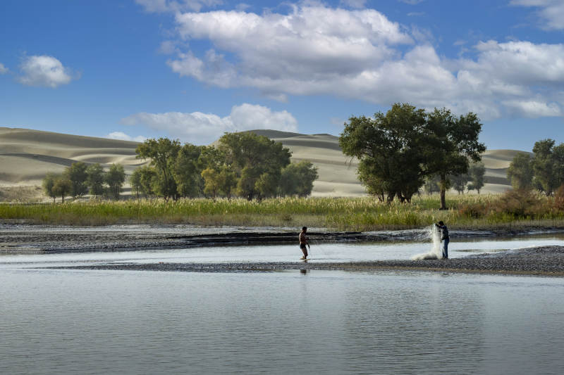沙漠绿洲垂钓图图片
