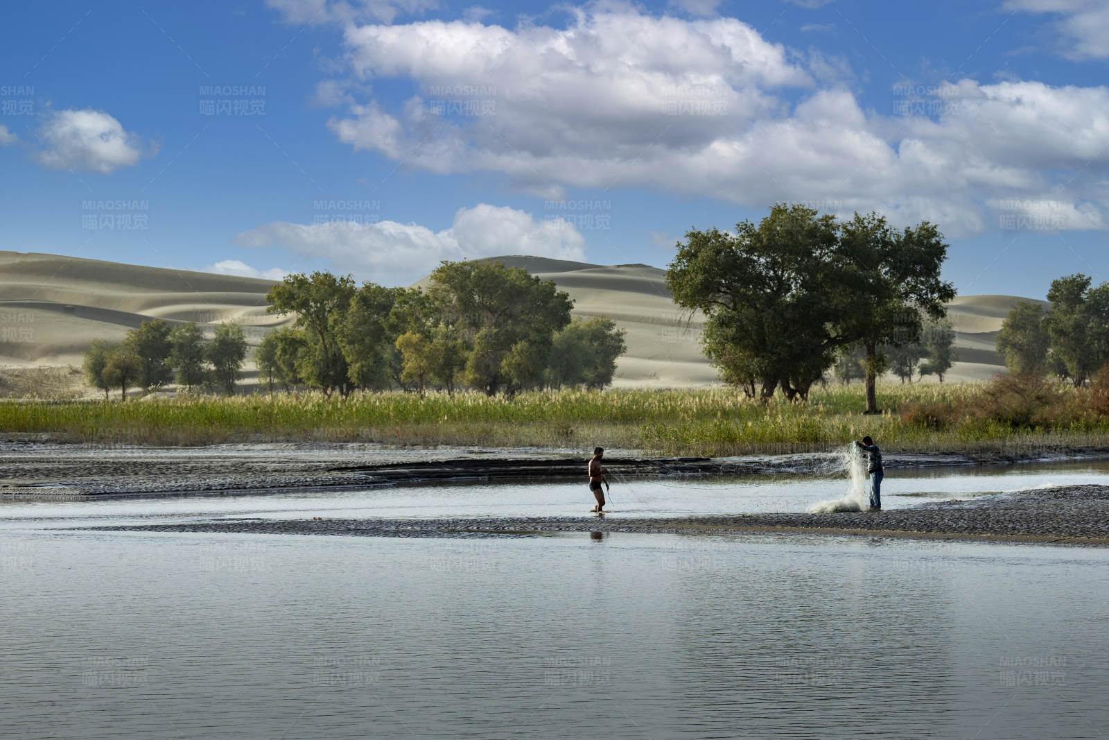 沙漠绿洲垂钓图图片