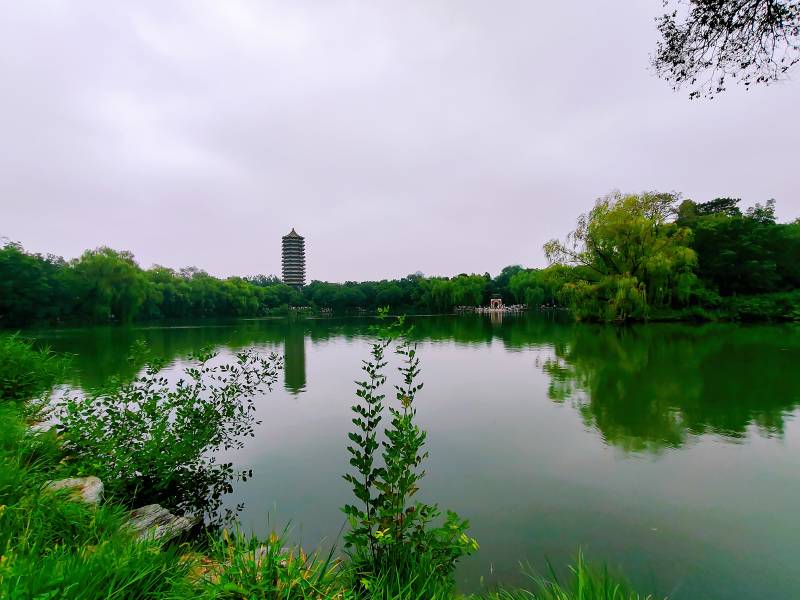 北京大学博雅塔图片