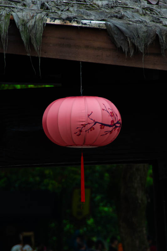 红灯笼挂屋檐图片