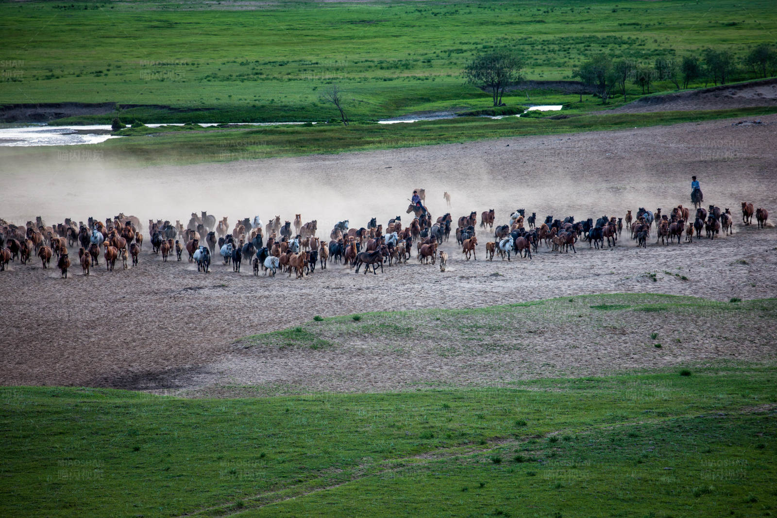 草原上的牧马人图片