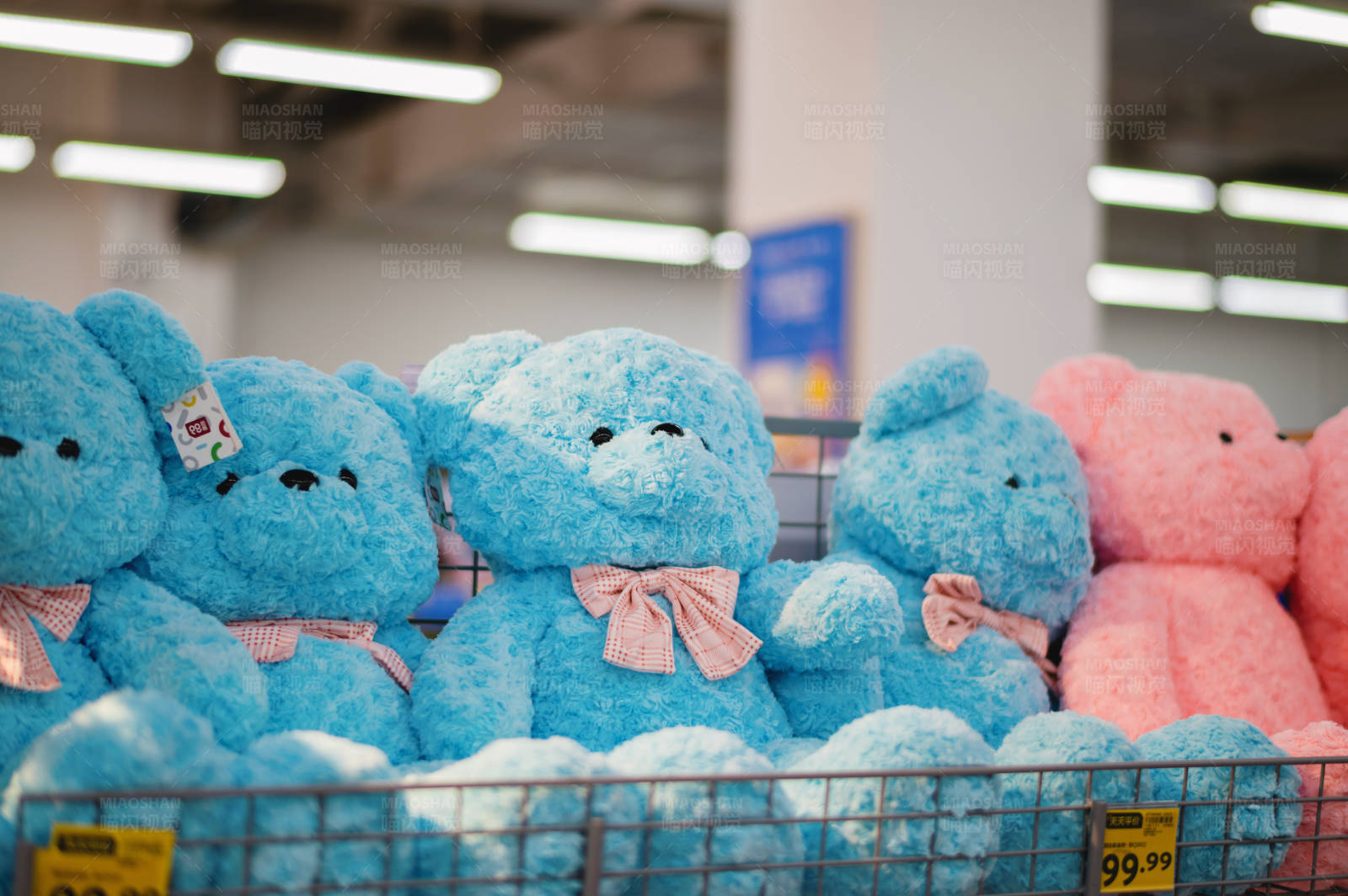 超市里的蓝色泰迪熊图片