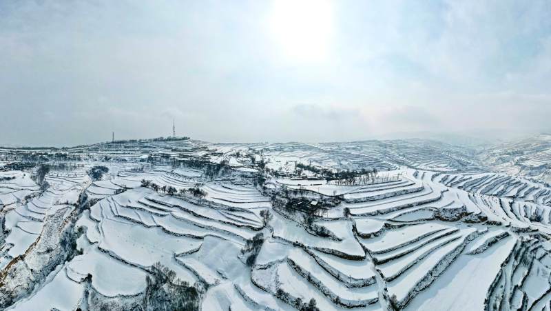 雪后梯田银装素裹图片