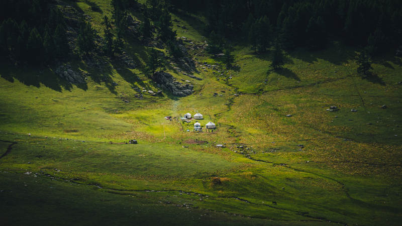 山谷中的小牧场图片