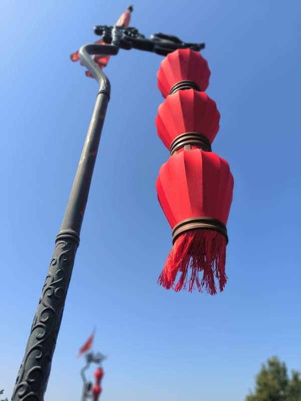 红灯笼高挂迎新春图片