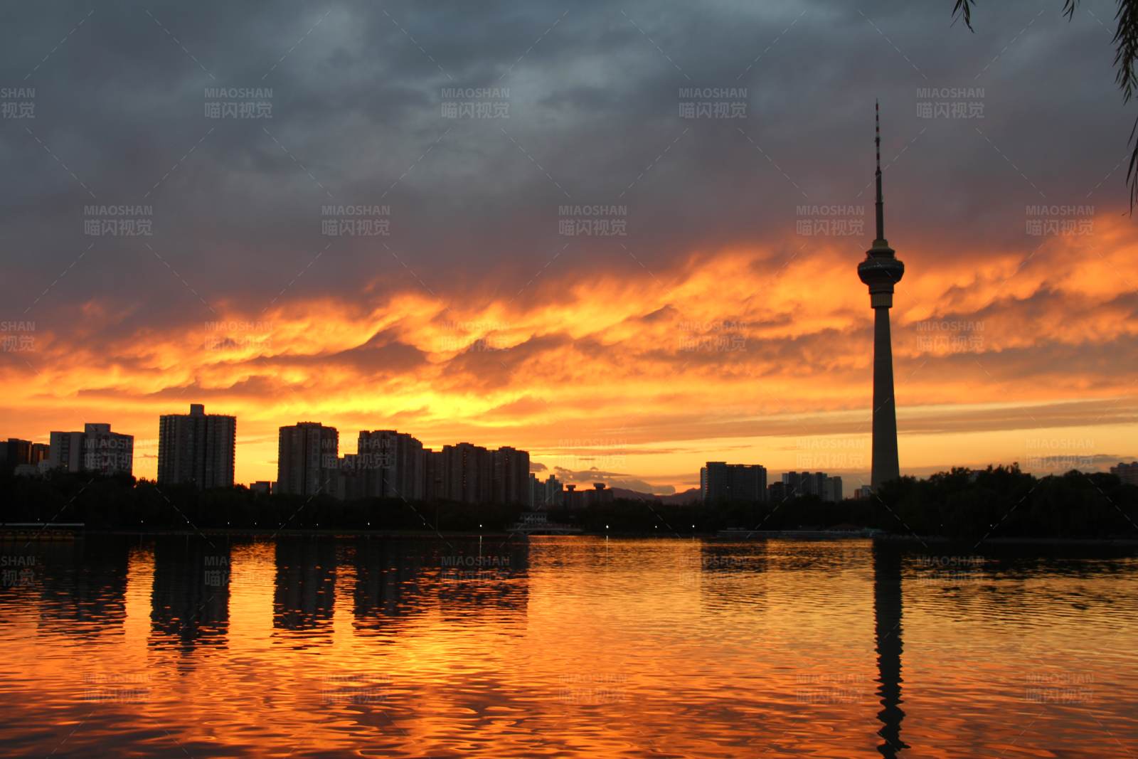 日落塔影图片