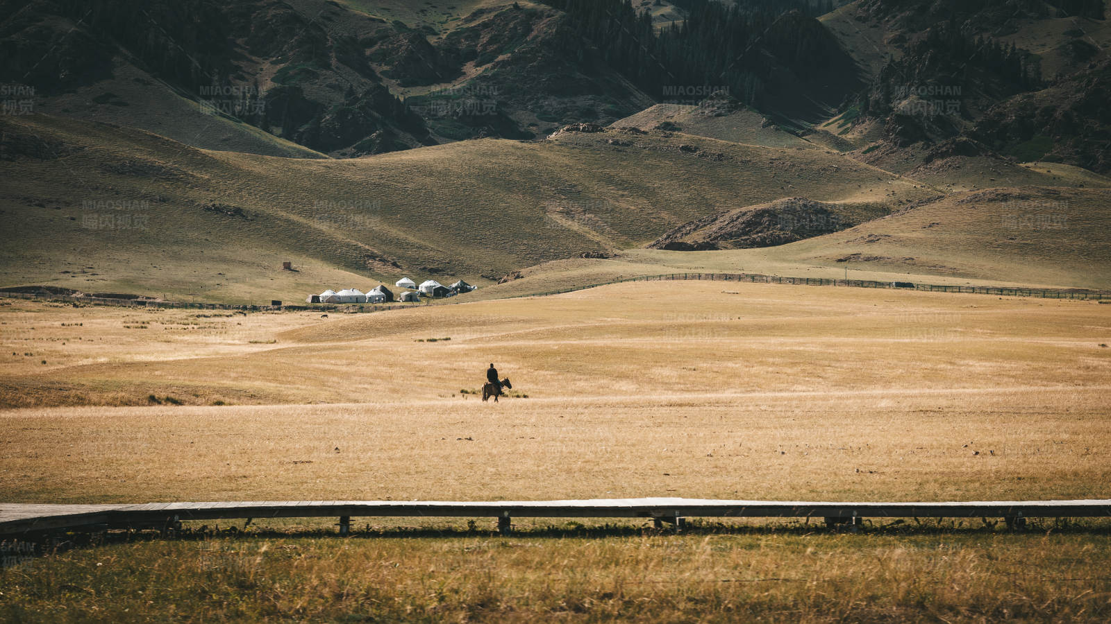 草原独行者图片