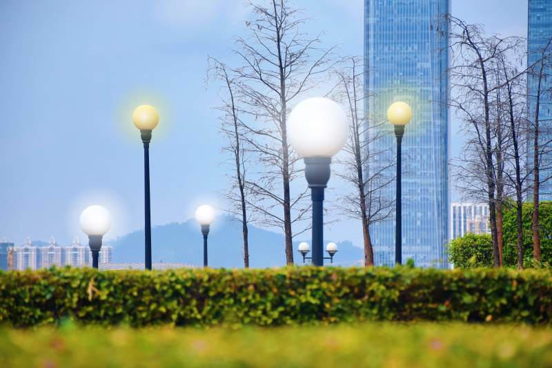 城市公园的宁静早晨图片