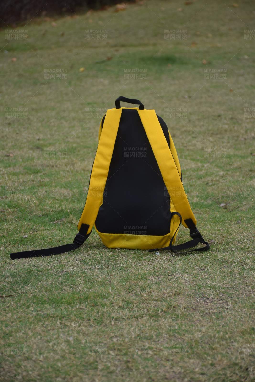 草地上的黄黑背包图片