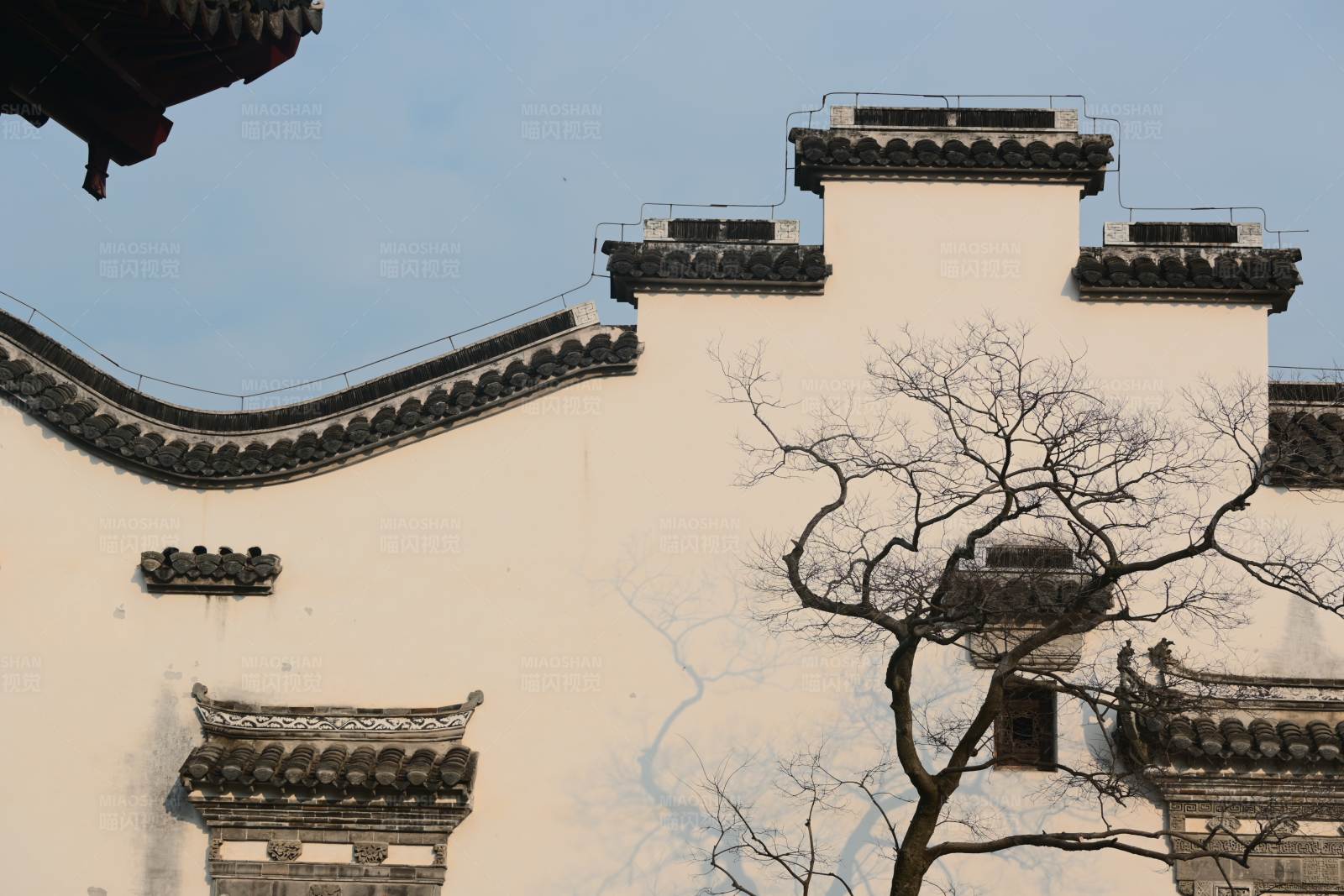 广富林遗址的徽派古城墙与枯树图片