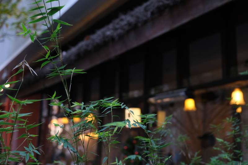 竹影婆娑 夜色阑珊图片