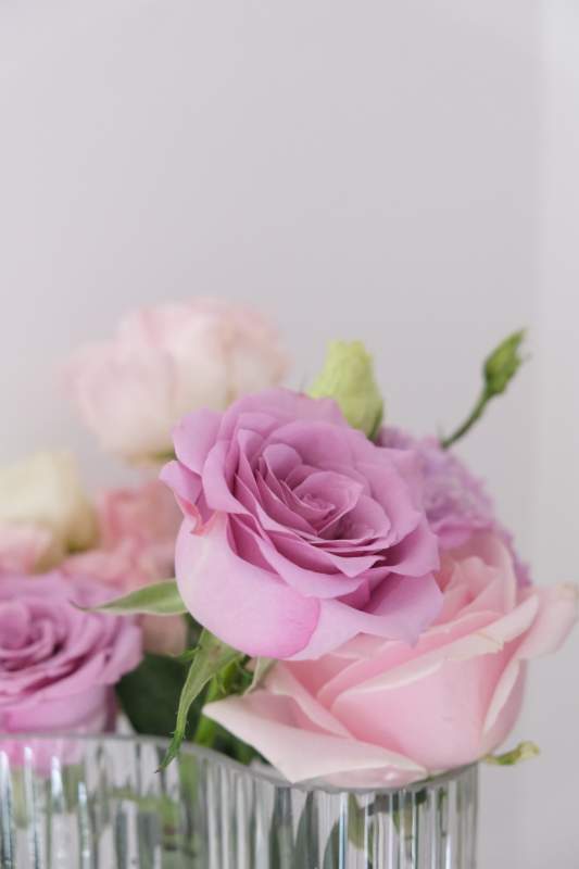 粉色玫瑰花束图片