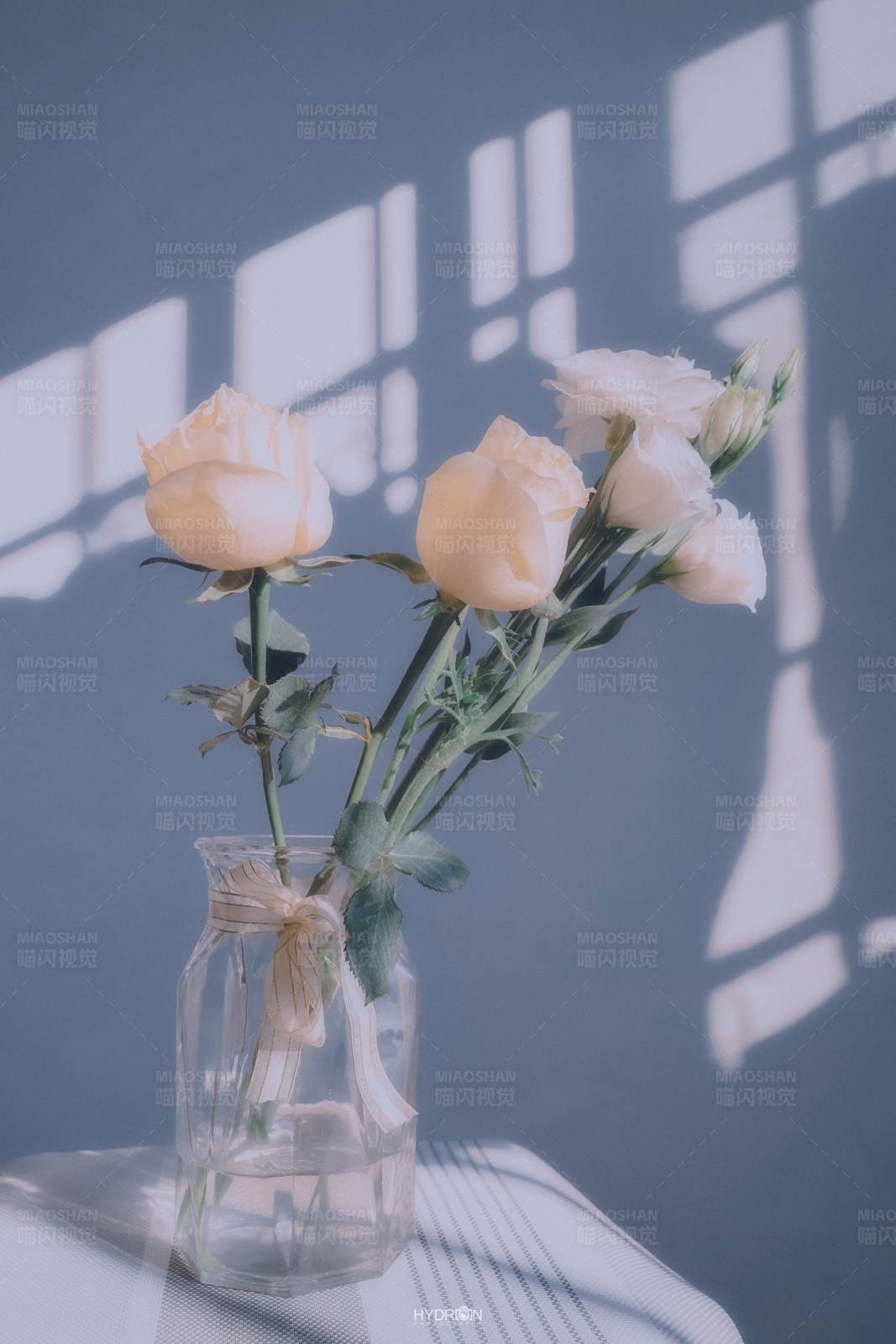 窗影花瓶里的温柔时光图片