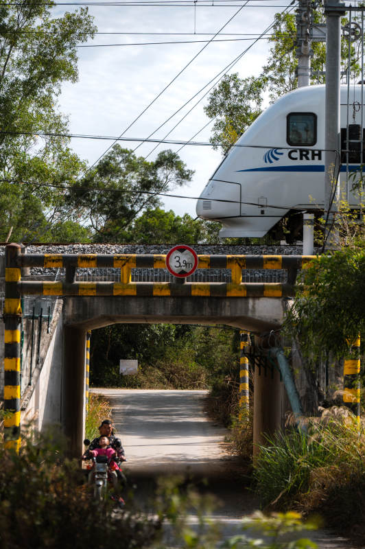 高铁桥下骑车行人图片