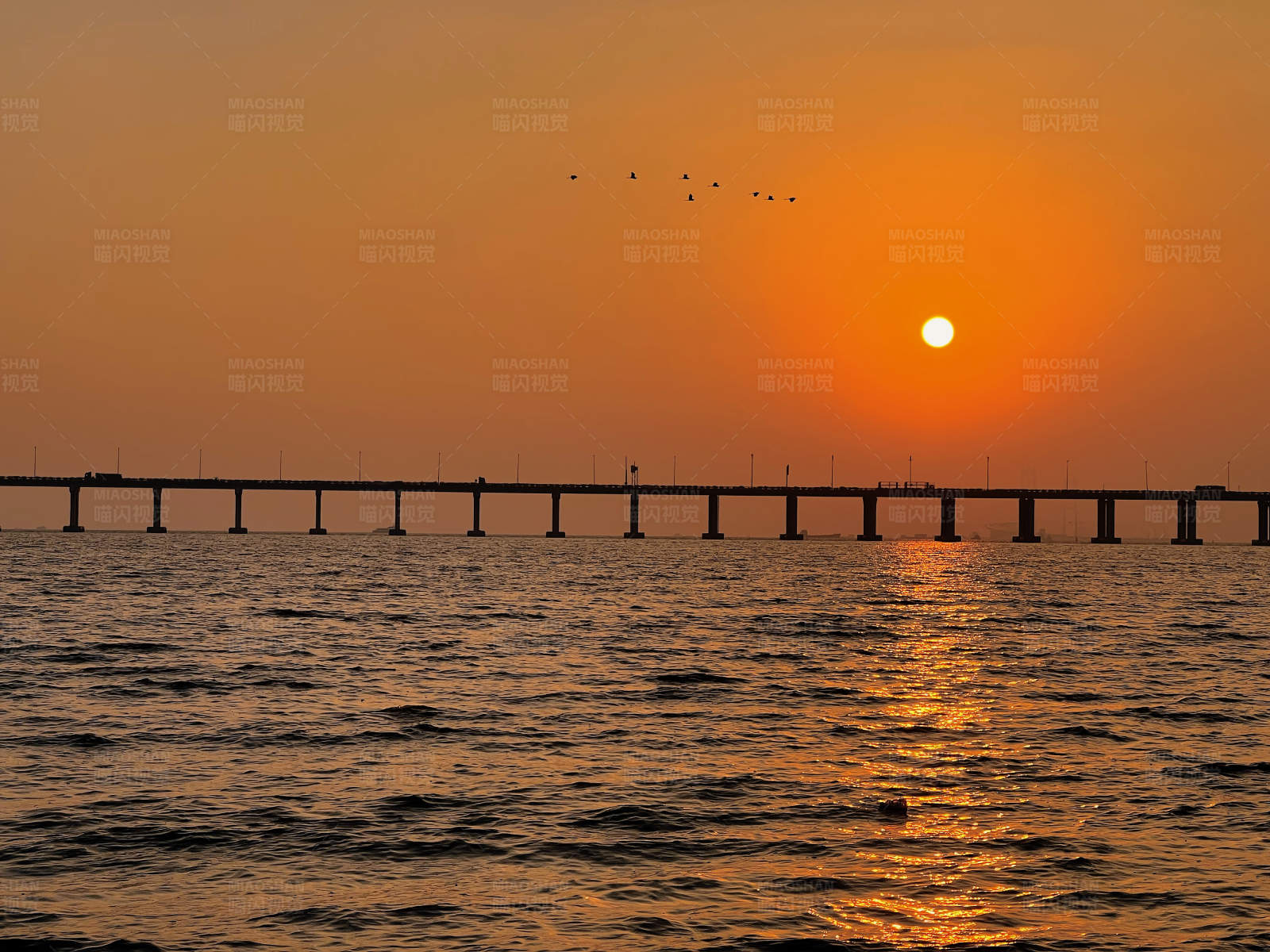 深圳湾夕阳下的海桥图片