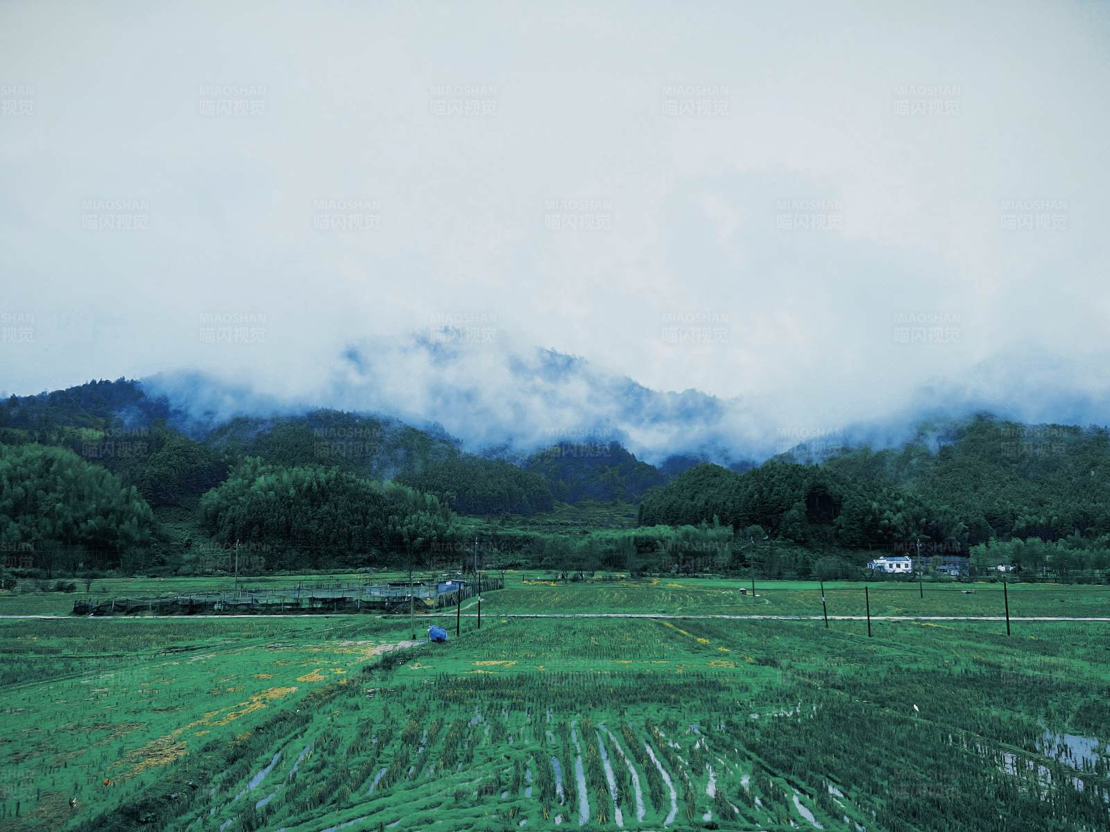 云雾山间田园风光图片