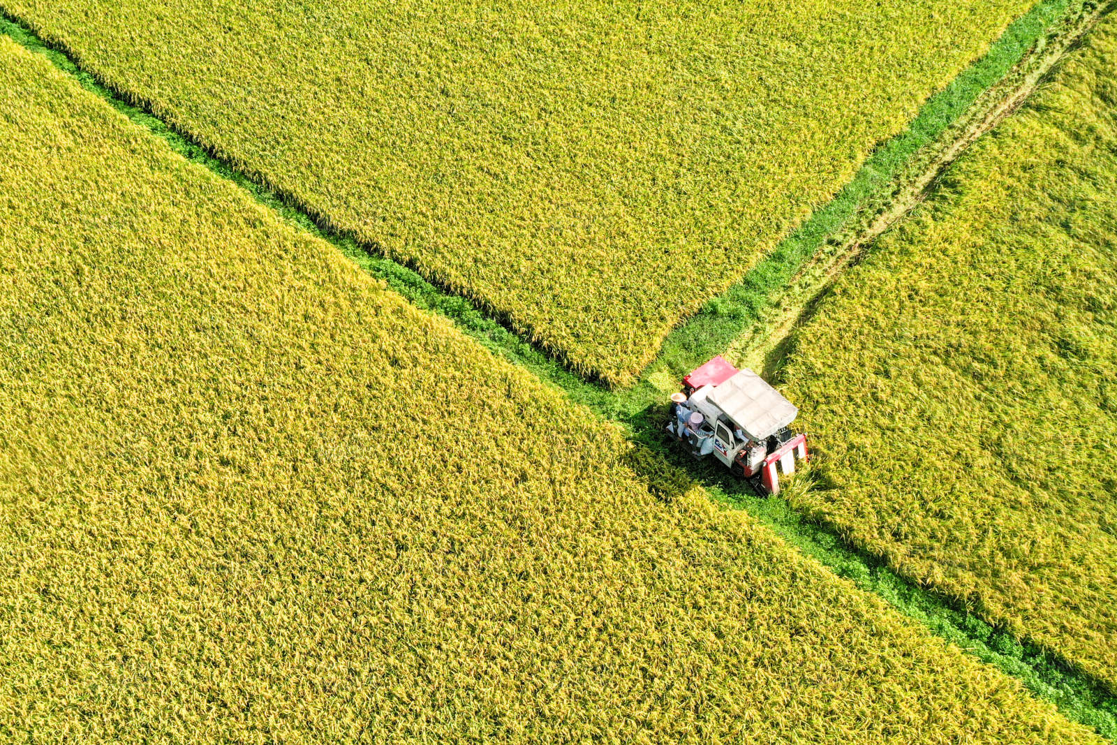 田间劳作的拖拉机图片