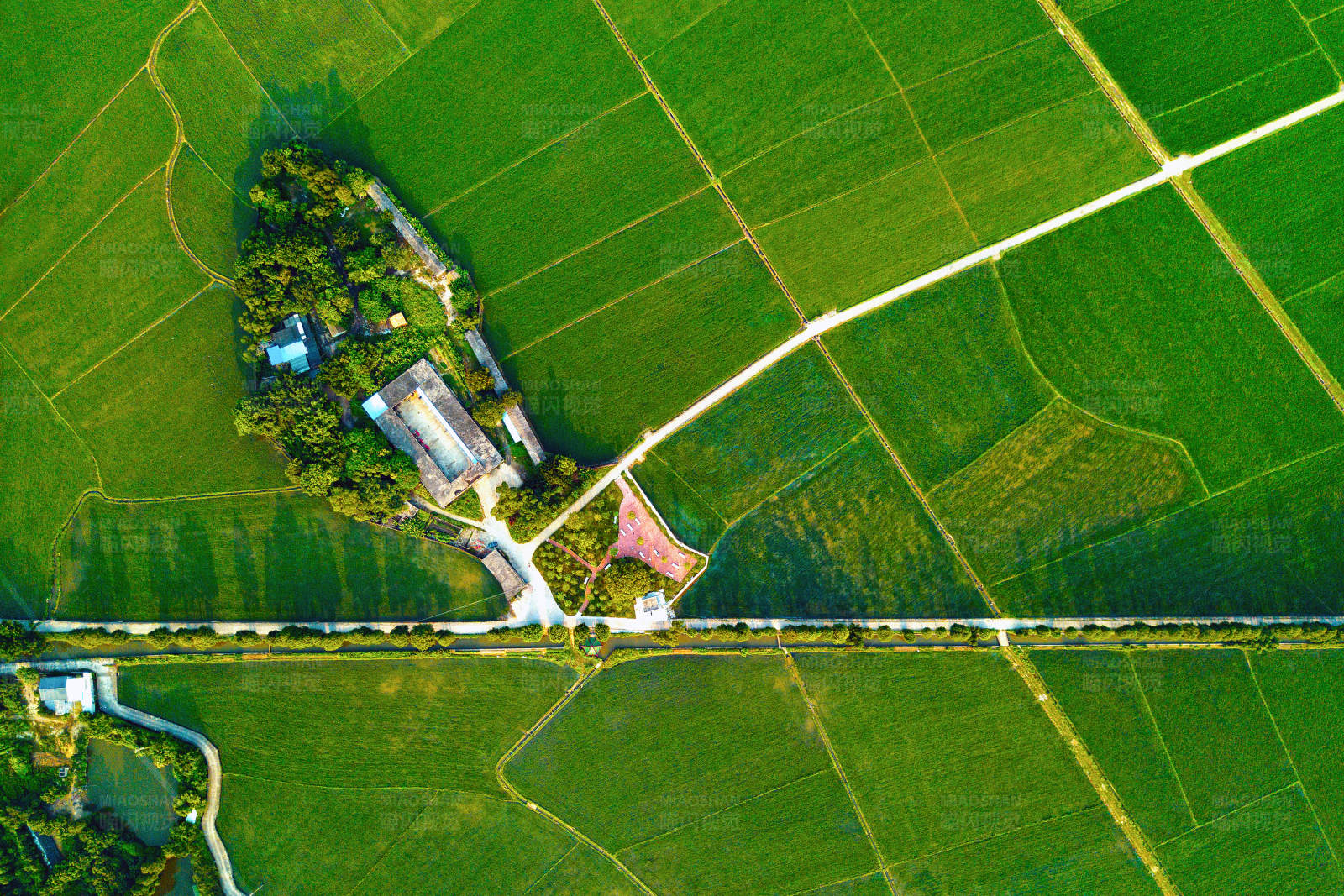 绿色田野中的小村庄图片