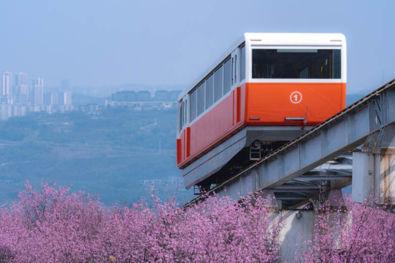 山花烂漫 列车穿行图片
