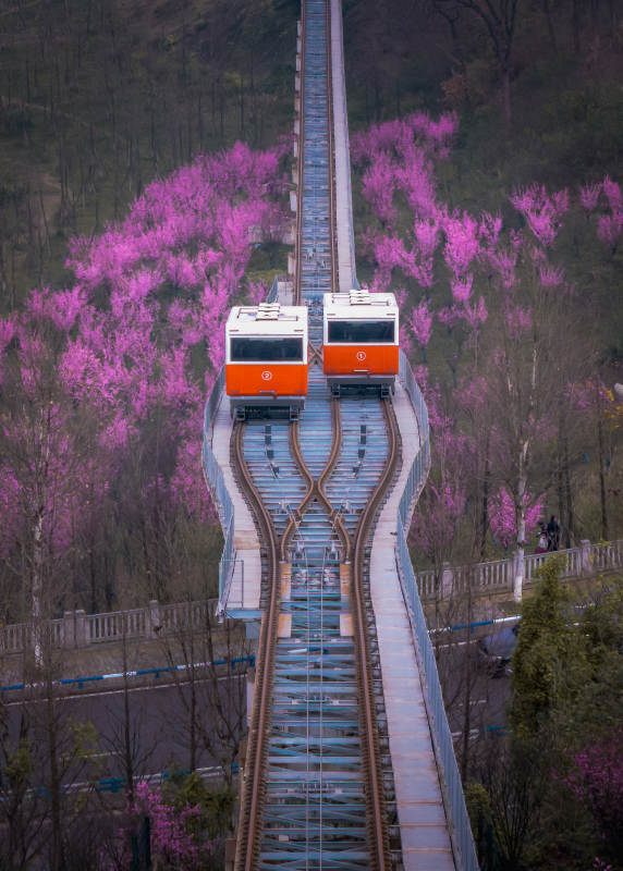 山间缆车春日行图片