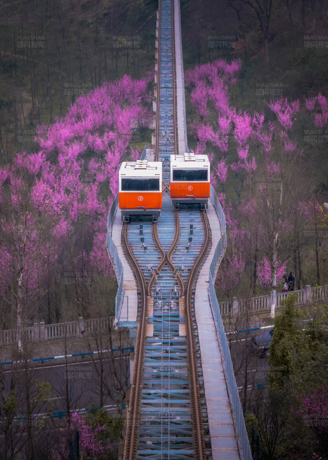 山间缆车春日行图片